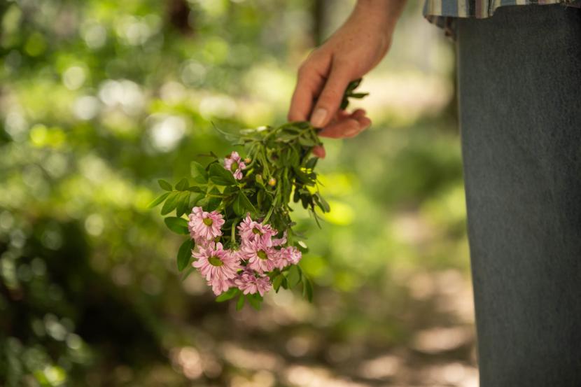 Handen met wildbloemen